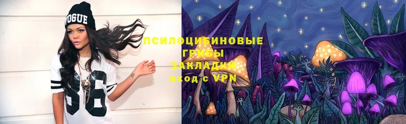 Галлюциногенные грибы Magic Shrooms  Краснознаменск 